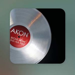 Akon - Right Now（DJ-AYU Remix）