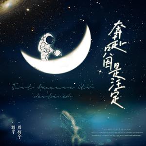 奔赴只因是注定