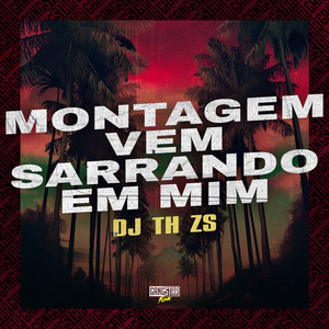 Montagem Vem Sarrando em Mim