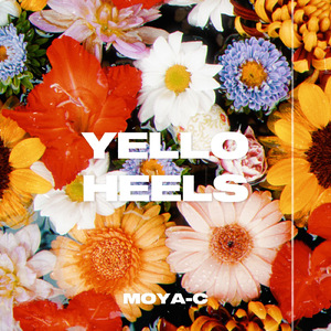 YELLO HEELS