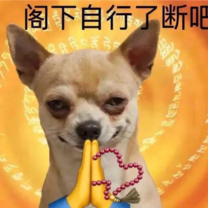 输情歌