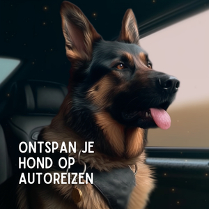 Verminder angst tijdens vuurwerk