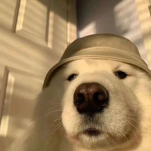 如果能够重来一次 伴奏