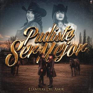 Pudiste Ser Mejor