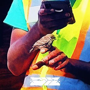 804 (feat. Jak3 / Trashman)