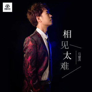 相见太难 (DJ版)