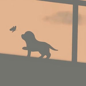 你抱怨夏天太短