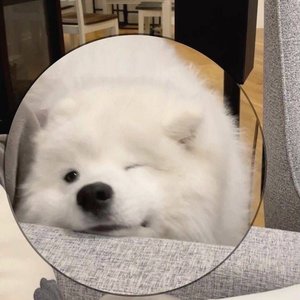 你从未离去(完整清唱版)