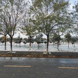 为你我受冷风吹（新版）