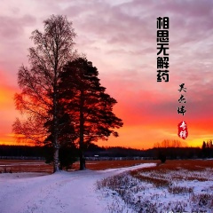 相思无解药