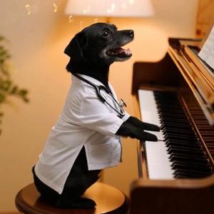 Hemolytic Uremic Syndrome