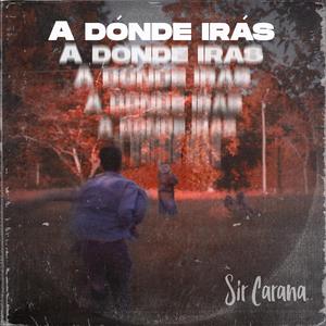 A DONDE IRAS