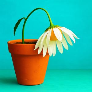 Bad Case Of Lonliness