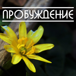 Пробуждение (Original Mix)