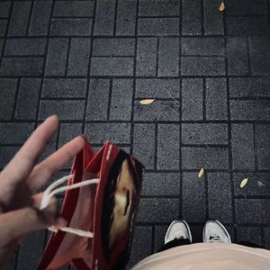 风的语言(粤语版)