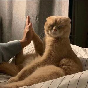 星空剪影（翻自 王茗）