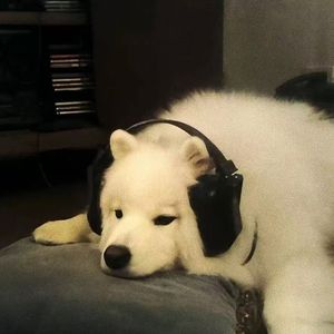 越来越好才最实际