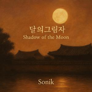 달의 그림자