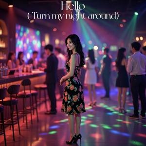 Hello (Turn My Night Around)