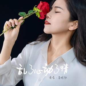 乱了心动了情DJ (伴奏)