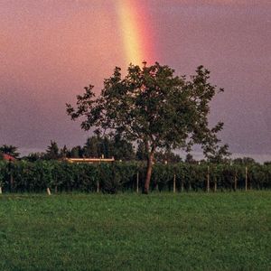 梦回千年的爱恋