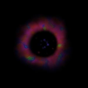 Unofficial Noise Experiment Vol 998.76⅞ [12:-98]