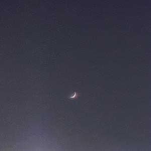 GONE（翻自 CREAM D）