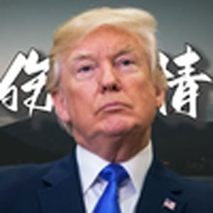 听悲伤的情歌（川普）