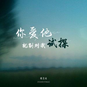 你爱他就别对我试探