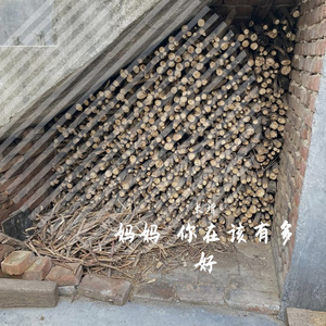 妈妈 你在该有多好