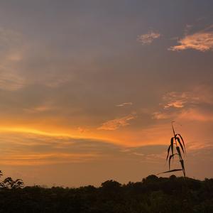 记昨日书（Cover伏仪）