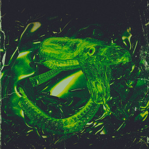 Кобра (Prod. By HannaH)