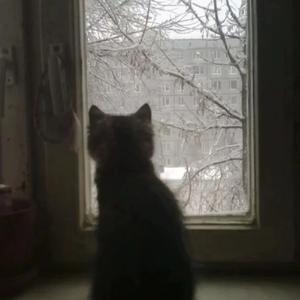 一起长大的约定