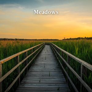Meadows