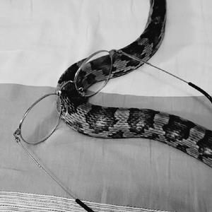 Wandering（prod by goodbye 16preme）