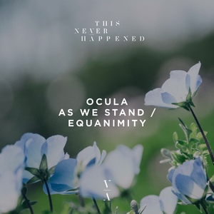 Equanimity