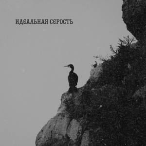 Идеальная серость