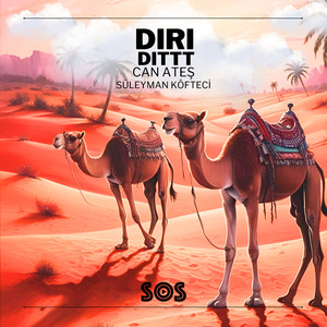 Dırıdıttt (Remix)
