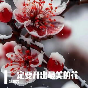 一定要开出最美的花 伴奏