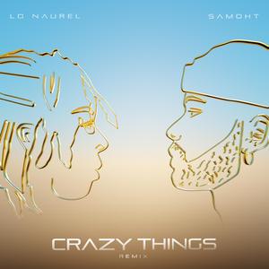 Crazy Things (feat. Samoht) (Remix)
