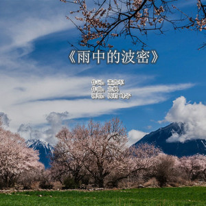 《雨中的波密》词：董贵军 曲：北枫 唱：禹君 峰子