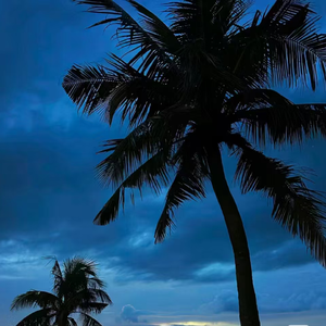 “Sea” Afro Guitar Type Beat 102 #Gmajor@雾行.mp3