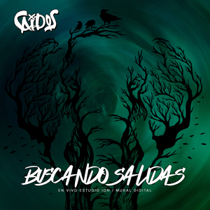 Buscando Salidas (En Vivo Estudio Ion)