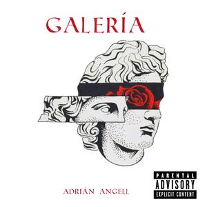 GALERÍA