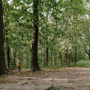 Vögel des Hambi, Pt. 3