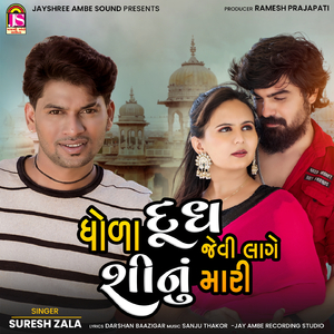 Dhoda Dudh Jevi Lage Shinu Mari