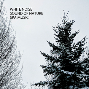 Sleeping Sound Tones