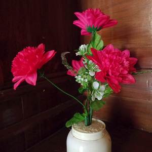 Farm Car Go Speed Friend Verb