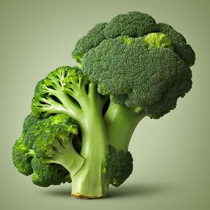 Broccolisangen (feat. TG & MandenMedDenSorteHat)