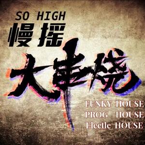 DJ亚君-金牌车载中文咚咚咚狼爱上羊FUNKYHOUSE慢摇大碟（DJ亚君 remix）